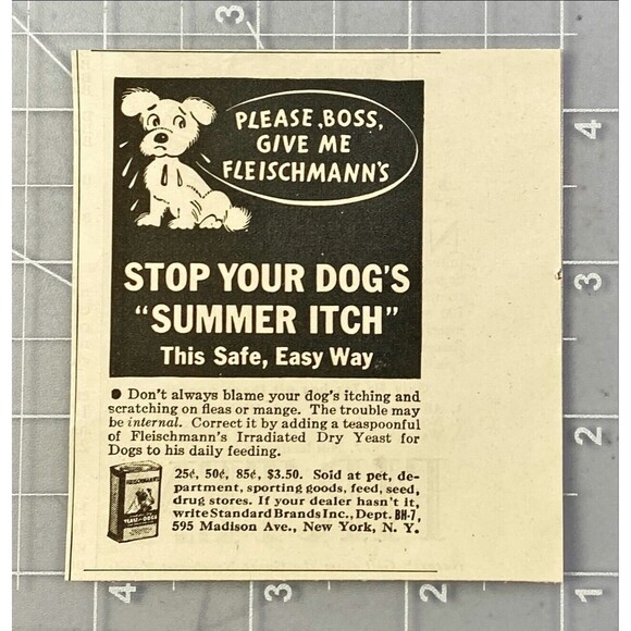 Fleischmann's Dry Yeast Treatment *Stop Your Dog's Summer Itch Vtg Print Ad 1936 - Picture 2 of 3